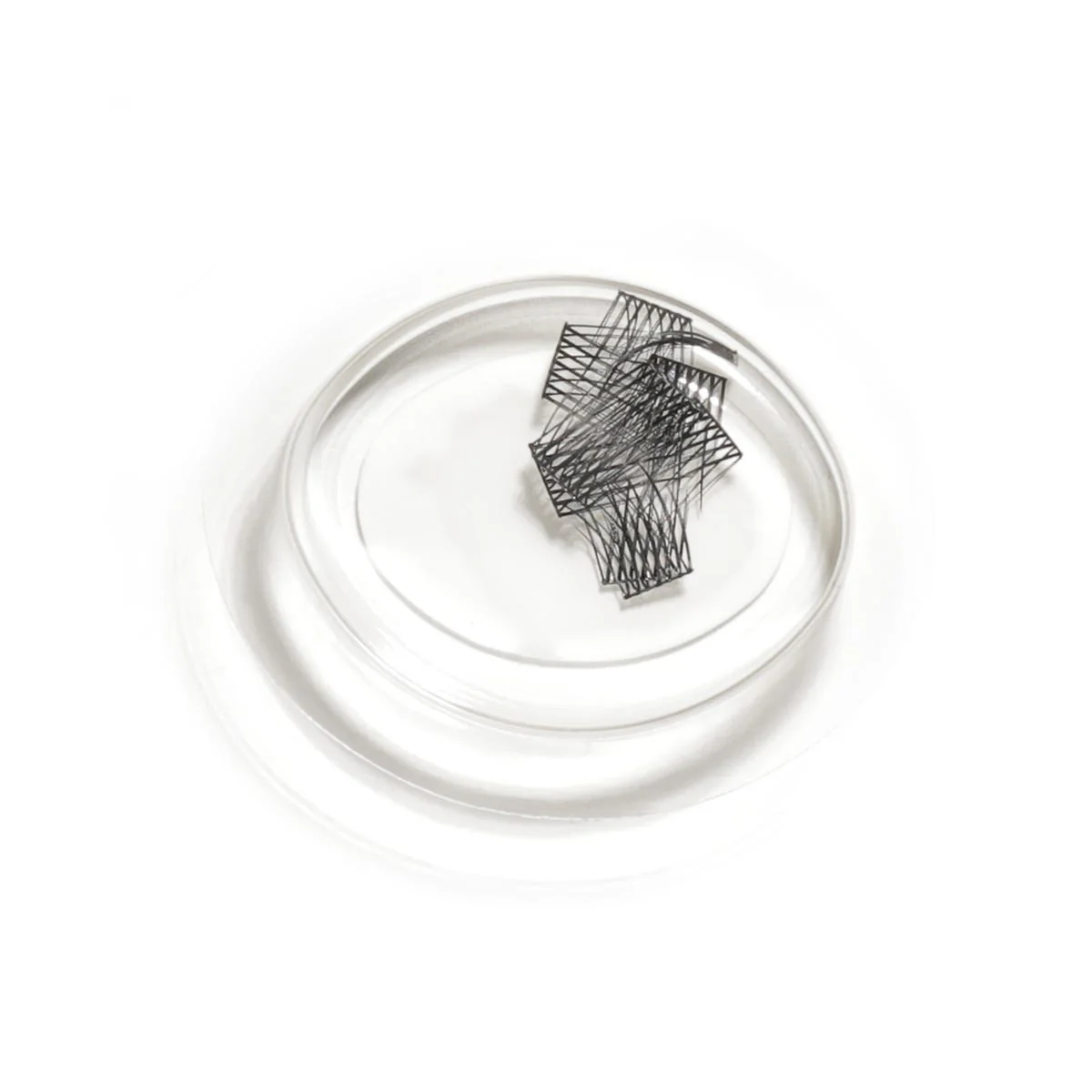 LashSense Lashes Refill - Plumeria (1 ct.) - Image 3