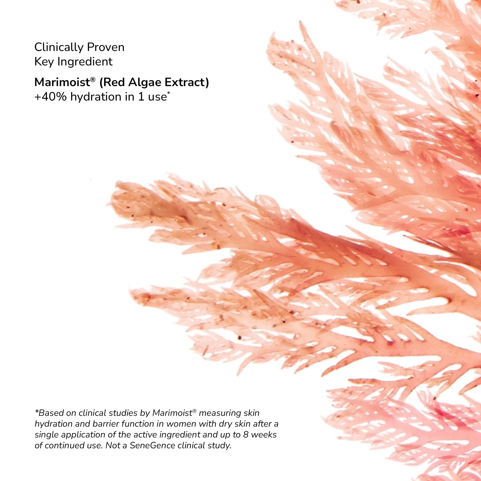 SeneCell™ SenePlex+® StemCell Concentrate - Image 4