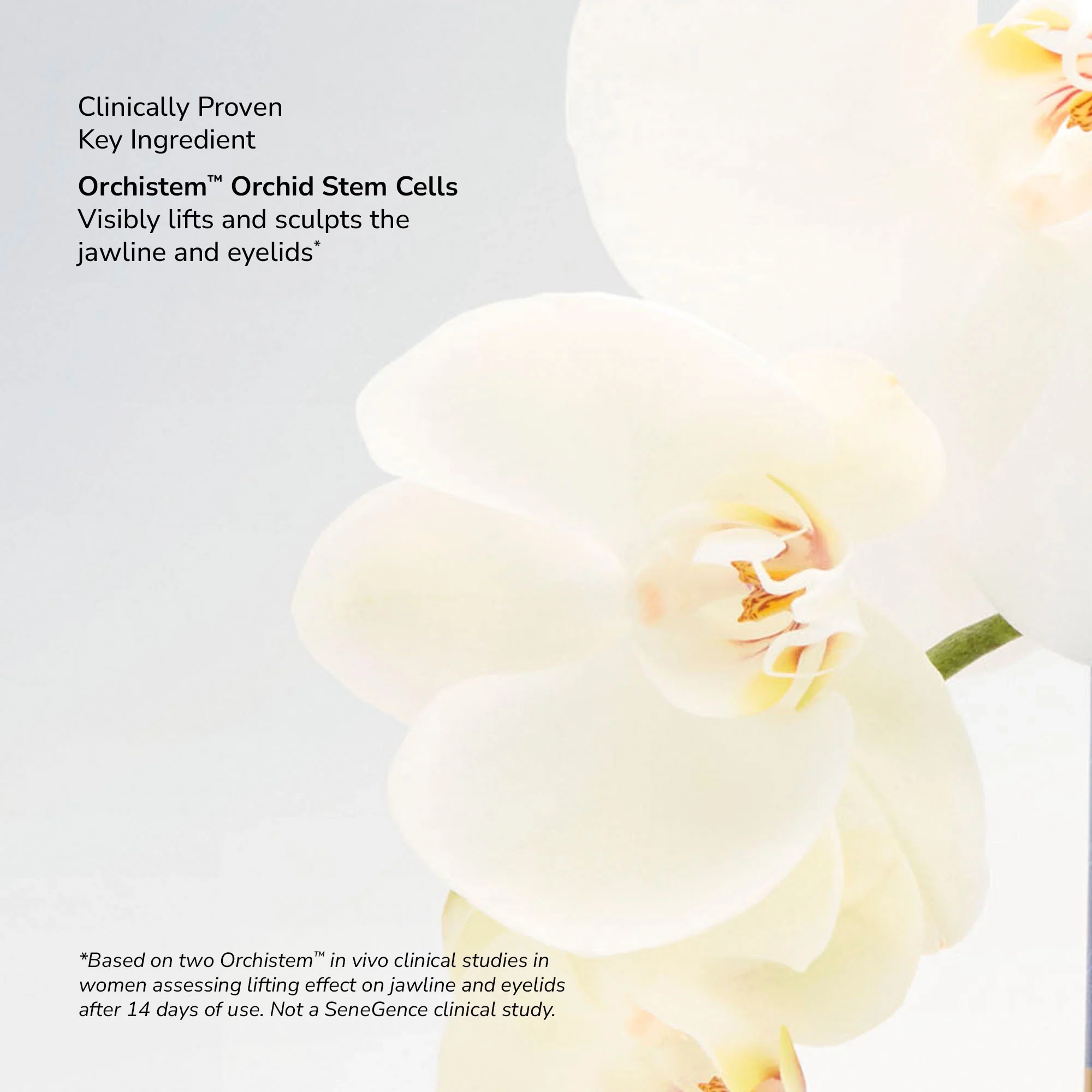 SeneCell™ SenePlex+® StemCell Concentrate - Image 8